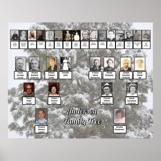 Snowy Evergreen 4 Generation Family Tree Poster (Voorkant)