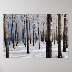 Snowy Fairy Tale Forest Poster