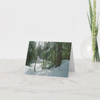 Snowy Forest Christmas Kaart Mt Washington NH