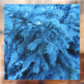 Snowy Forest Spruce Raamsticker (Vel 2)
