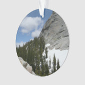 Snowy Granite Domes II Parc national de Yosemite (devant)