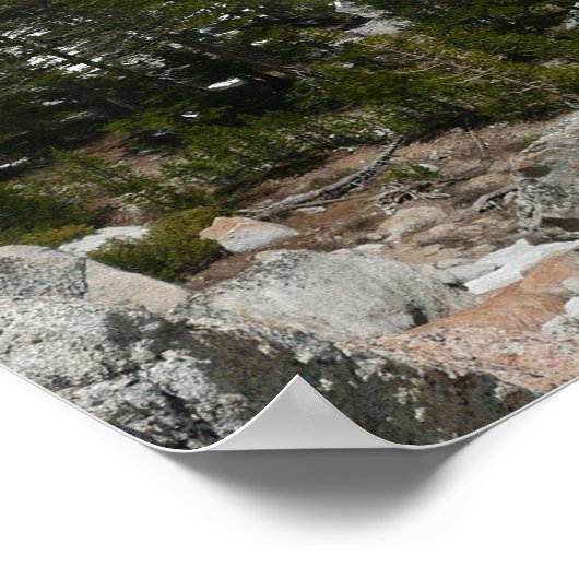 Snowy Granite Domes Panorama in Yosemite Poster (Hoek)