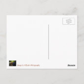 Snowy Great Lode Mines, Cornwall. Briefkaart (Achterkant)