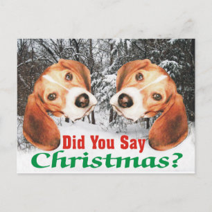 Snowy, heb je Kerstmis gezegd? Beagle Post Kaart