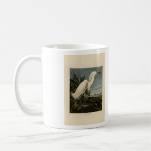 Snowy Heron (Egret) - de Amerikaanse vogelstand va Koffiemok