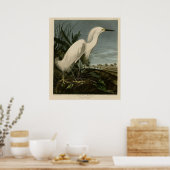 Snowy Heron of White Egret Poster (Keuken)