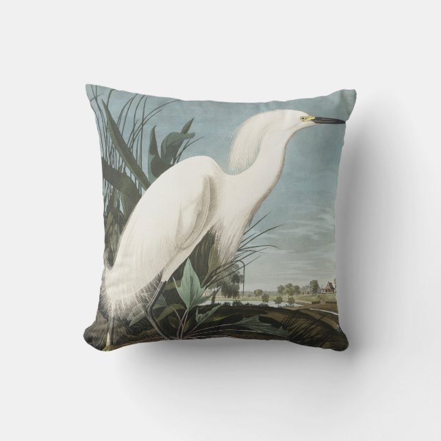 Snowy Heron of White Egret uit vogels in Amerika Kussen (Voorkant)