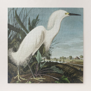 Snowy Heron of White Egret uit vogels in Amerika Legpuzzel