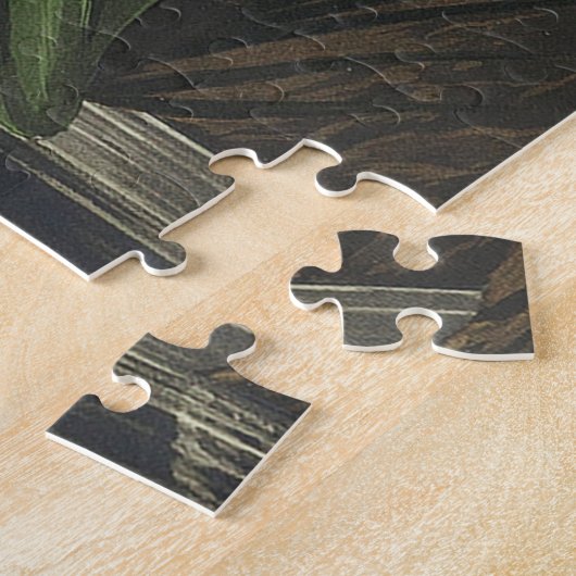 Snowy Heron of White Egret uit vogels in Amerika Legpuzzel (Zijkant)