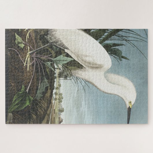 Snowy Heron of White Egret uit vogels in Amerika Legpuzzel (Horizontaal)