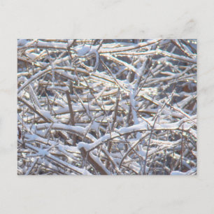 Snowy Ice Branches in Winter Briefkaart