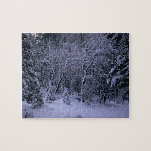 Snowy Landscape Forest Legpuzzel (Horizontaal)