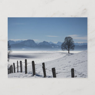 Snowy Landscape Foto Briefkaart
