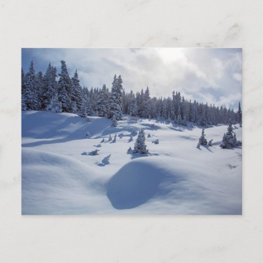 Snowy Landschap Briefkaart (Voorkant)