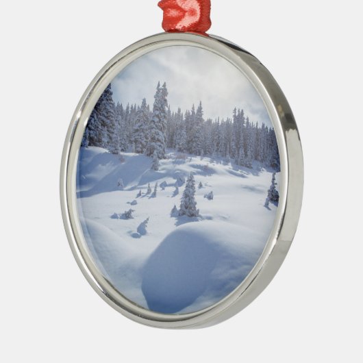 Snowy Landschap Metalen Ornament (Links)