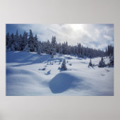 Snowy Landschap Poster (Voorkant)