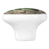 Snowy le poulet Ameraucana fait face à la poignée  (Côté)