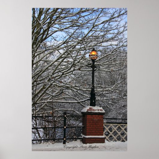 Snowy Light Scene Print (Voorkant)