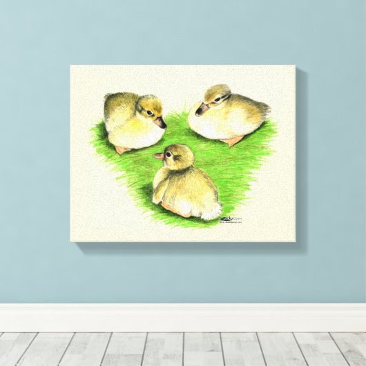 Snowy Mallard Ducklings Canvas Afdruk (Insitu (Houten vloer))