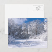 Snowy Marthaler Park en Trees Briefkaart (Voorkant / Achterkant)