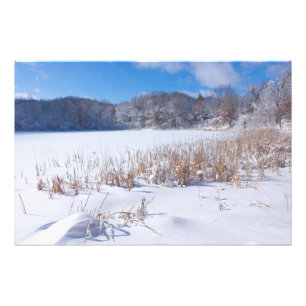 Snowy Marthaler Pond Winter Schilderachtig Foto Afdruk