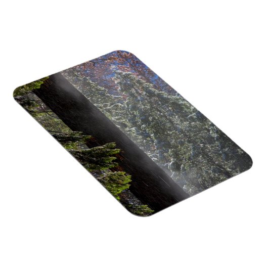 Snowy Mist in het bos Magneet (Rechterzijde)