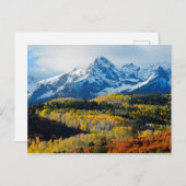 Snowy Mountain & Trees Briefkaart (Voorkant / Achterkant)