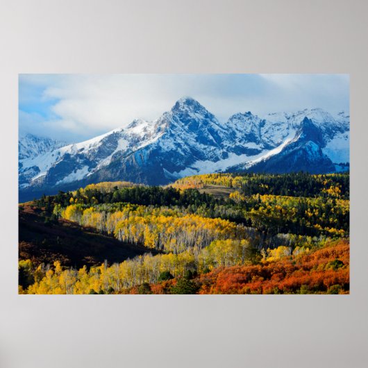 Snowy Mountain & Trees Poster (Voorkant)