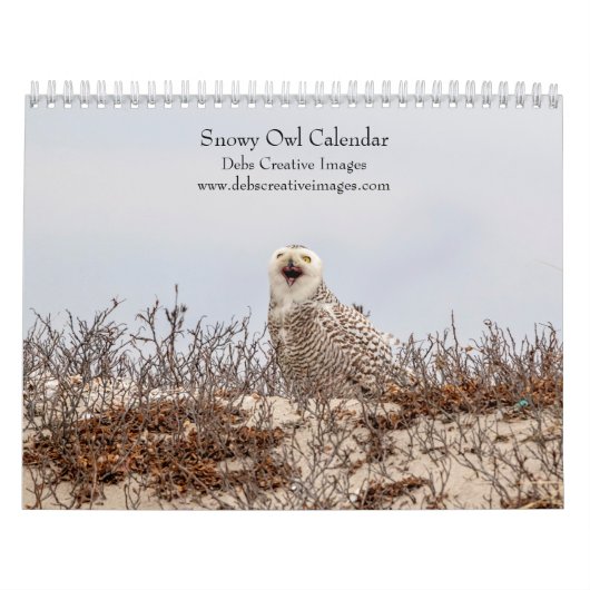 Snowy Owl 2026 Kalender (Hoes)