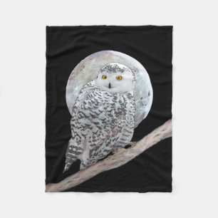 Snowy Owl and Moon Painting - Original Bird Art Fleece Deken