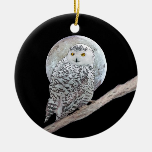 Snowy Owl and Moon Painting - Original Bird Art Keramisch Ornament (Voorkant)