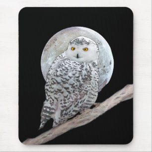 Snowy Owl and Moon Painting - Original Bird Art Muismat