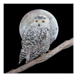 Snowy Owl and Moon Painting - Original Bird Art Perfect Poster