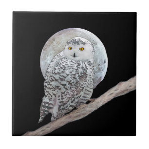 Snowy Owl and Moon Painting - Original Bird Art Tegeltje