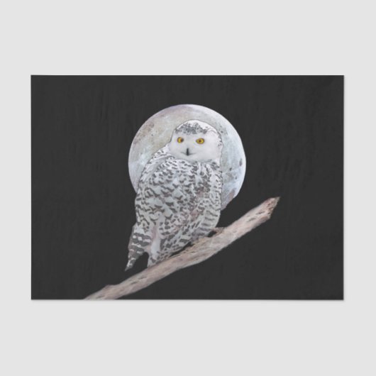 Snowy Owl and Moon Painting - Original Bird Art Tissuepapier (Voorkant)