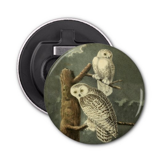 Snowy Owl Audubon Bird Artwork Button Flesopener (Voorkant)