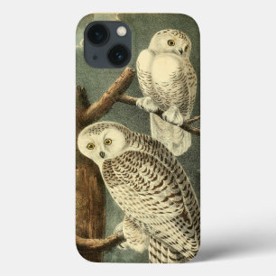 Snowy Owl Audubon Bird Artwork iPhone 13 Hoesje