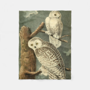 Snowy Owl Audubon Bird Artwork Fleece Deken