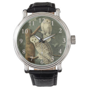 Snowy Owl Audubon Bird Artwork Horloge