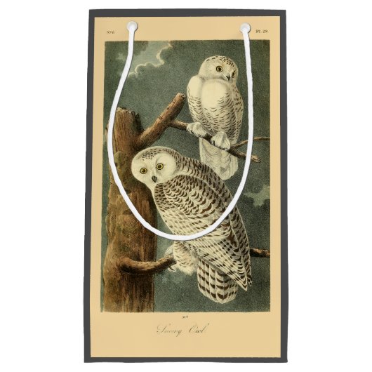 Snowy Owl Audubon Bird Artwork Klein Cadeauzakje (Voorkant)