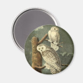 Snowy Owl Audubon Bird Artwork Magneet (Voorkant / Achterkant)