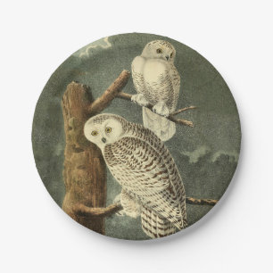 Snowy Owl Audubon Bird Artwork Papieren Bordje
