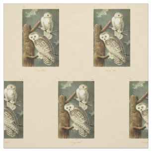Snowy Owl Audubon Bird Artwork Stof