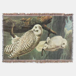 Snowy Owl - Audubon Fine  Birds America Deken