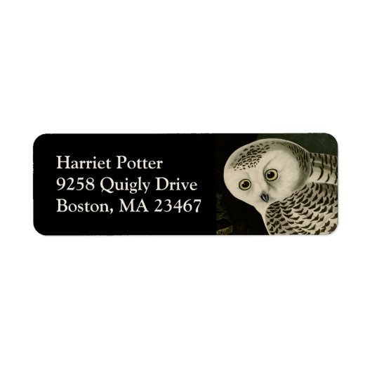 Snowy Owl - Audubon Fine Birds America Etiket (Voorkant)