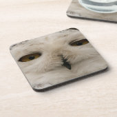 Snowy Owl Bier Onderzetter (Linkerzijde)