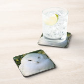 Snowy Owl Bier Onderzetter (Rechterzijde)