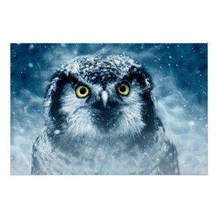 Snowy Owl Big Eyes Perfect Poster