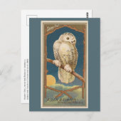 Snowy Owl Briefkaart (Voorkant / Achterkant)
