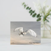 Snowy Owl Briefkaart (Staand voorkant)